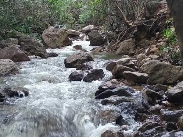 Kutharapaanjan Falls