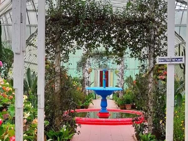 Lloyds Botanical Garden, Darjeeling