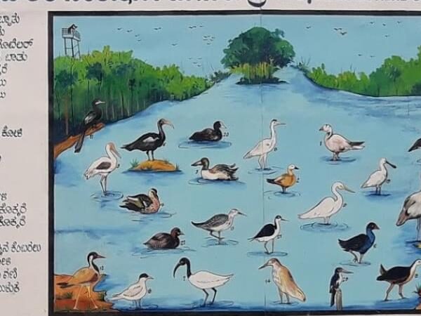 Magadi Bird Sanctuary