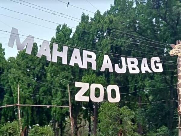 Maharajbagh Zoo, Nagpur