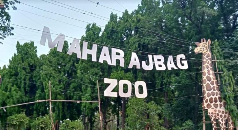 Maharajbagh Zoo, Nagpur