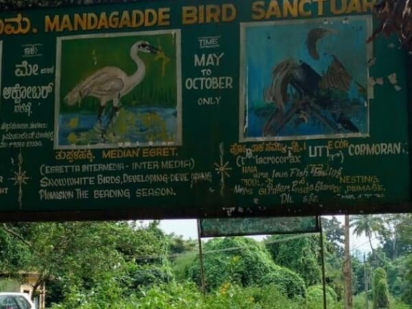 Mandagadde Bird Sanctuary