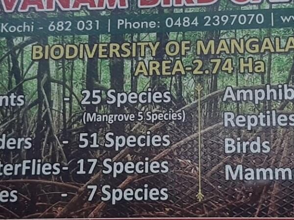 Mangalavanam Bird Sanctuary