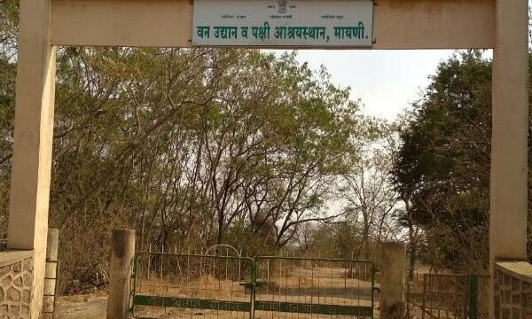 Mayani Bird Sanctuary