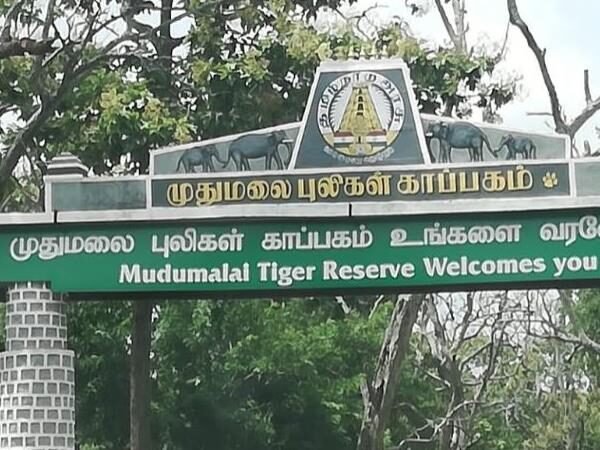 Mudumalai Tiger Reserve