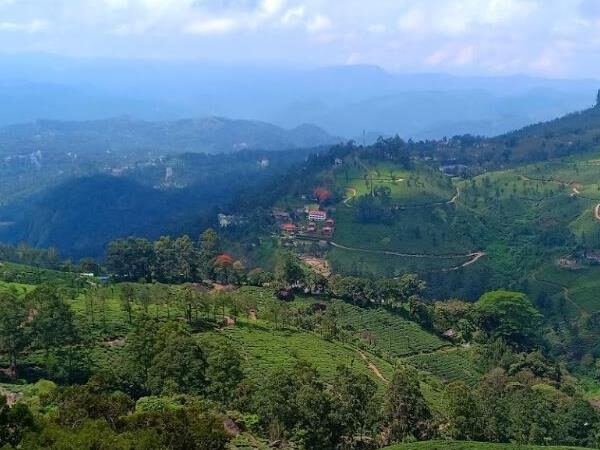 Munnar, Kerala