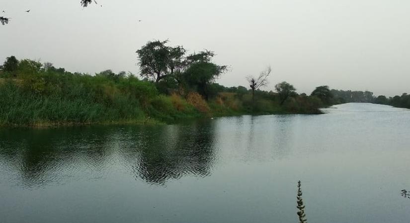 Najafgarh Drain Bird Sanctuary