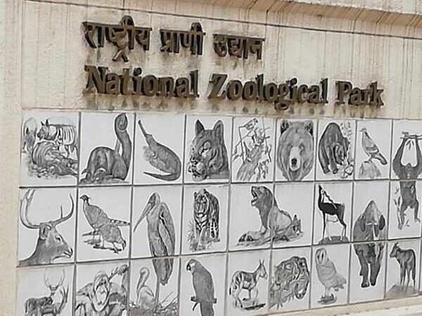 Delhi Zoo