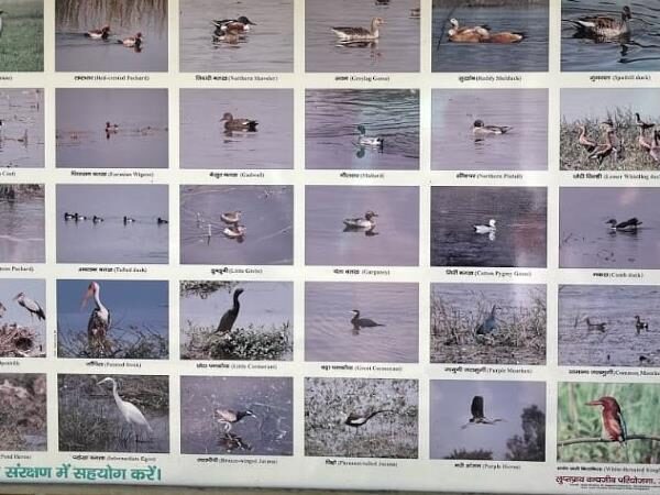 Nawabganj Bird Sanctuary