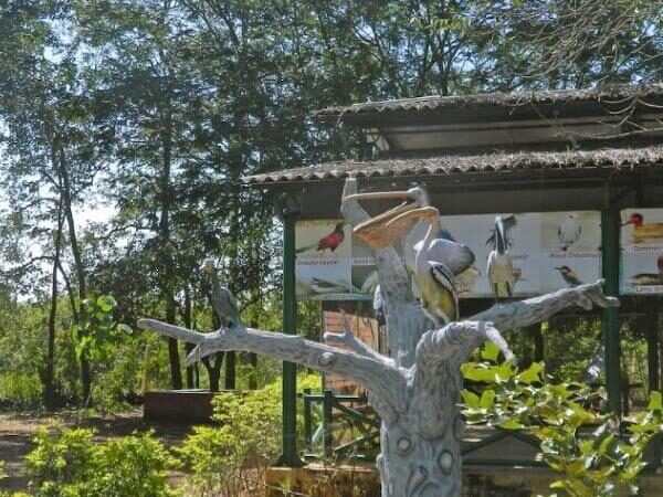 Nelapattu Bird Sanctuary