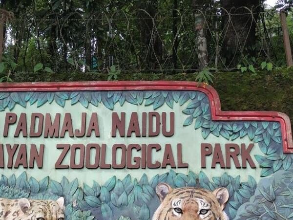 Padmaja Naidu Himalayan Zoological Park, Darjeeling