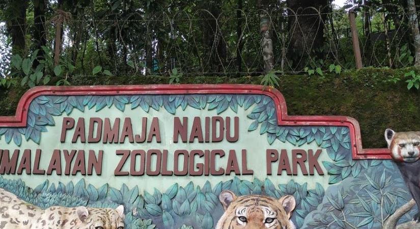 Padmaja Naidu Himalayan Zoological Park, Darjeeling - Discover India