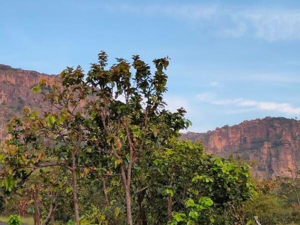 Pachmarhi, Madhya Pradesh