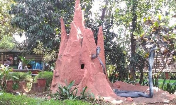 Parassinikkadavu Snake Park, Kannur