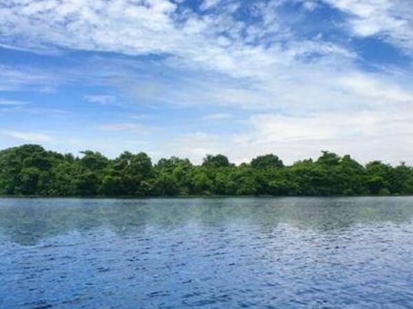 Pathiramanal Bird Sanctuary