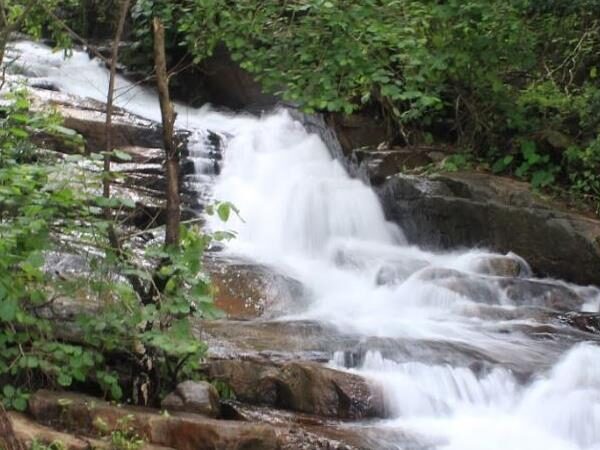 Pattathippara Falls
