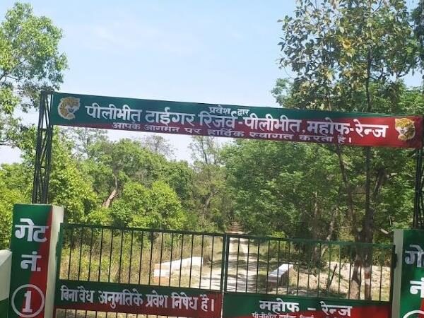 Pilbhit Tiger Reserve