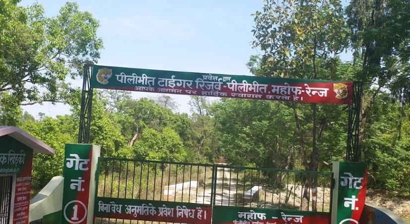 Pilbhit Tiger Reserve