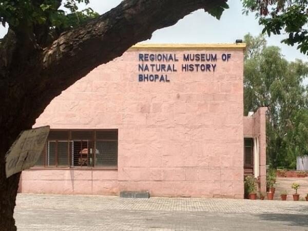 Regional Museum of Natural History, Bhopal