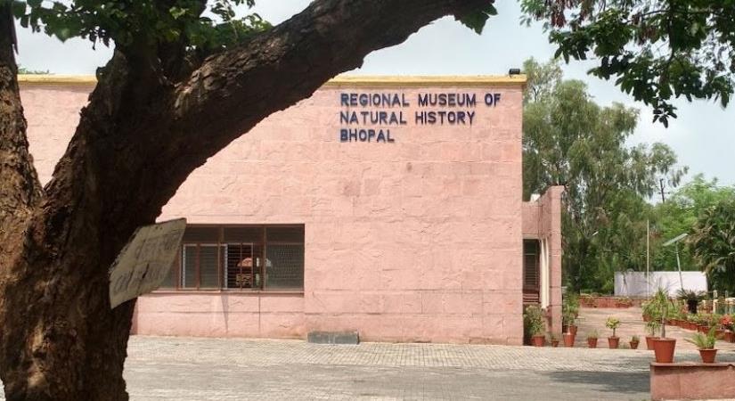 Regional Museum of Natural History, Bhopal