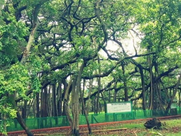 Royal Botanical Garden, Howrah