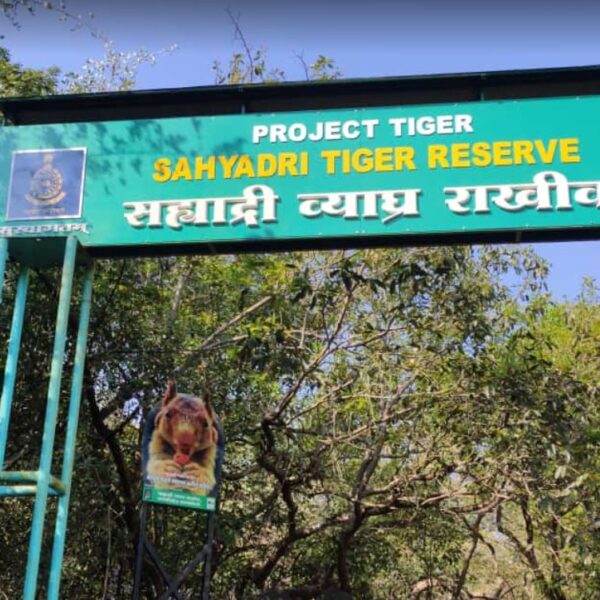 Sahyadri Tiger Reserve