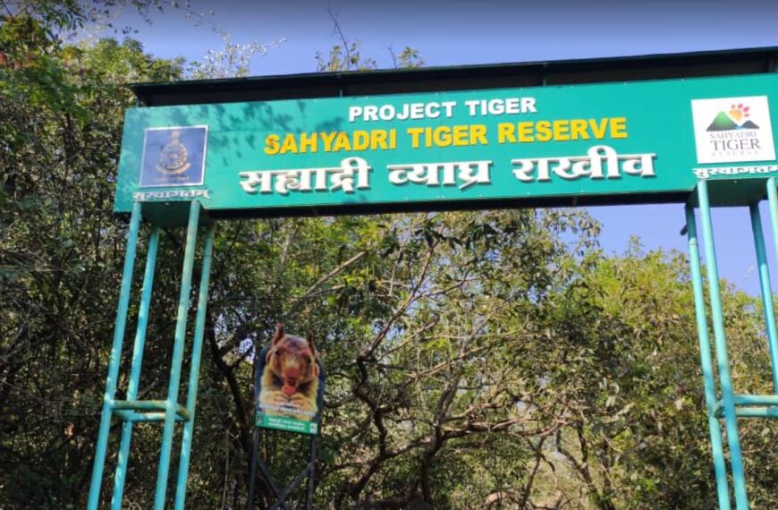 Sahyadri Tiger Reserve