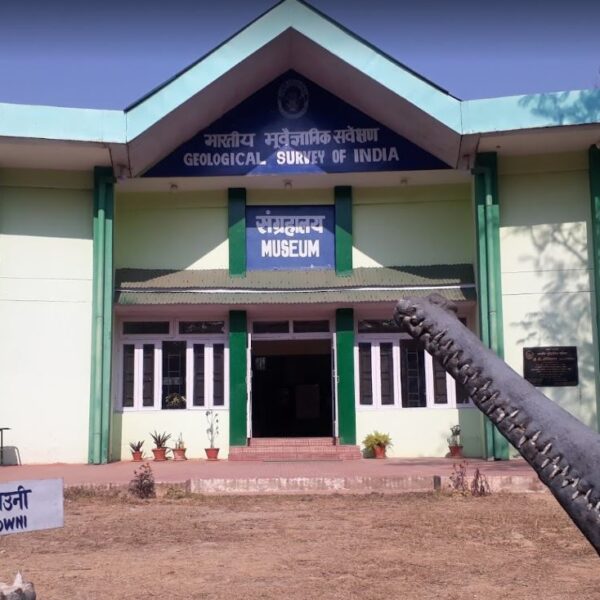 Shivalik Fossil Park, Simaour