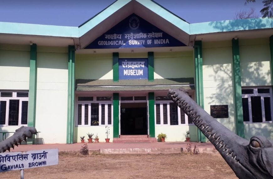 Shivalik Fossil Park, Simaour