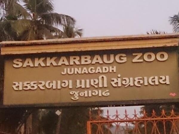 Sakkarbaug Zoological Garden, Junnagadh