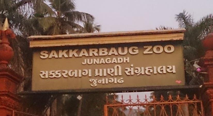 Sakkarbaug Zoological Garden, Junnagadh