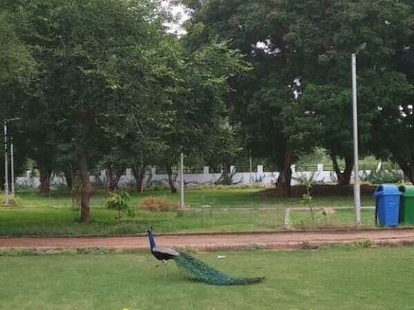 Sarita Udyan Gandhinagar