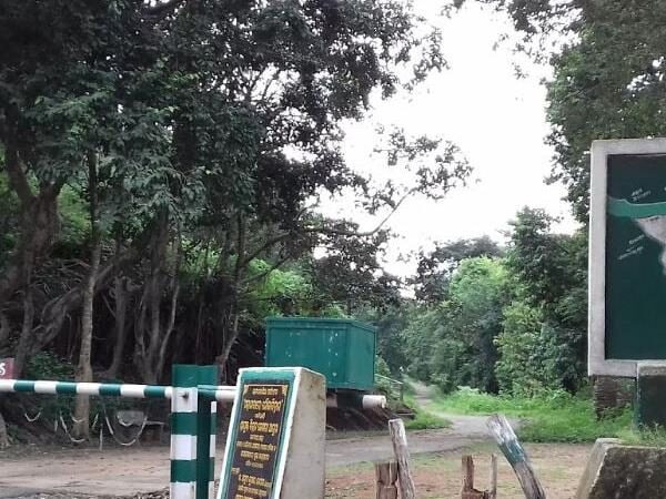 Satkosia Tiger Reserve