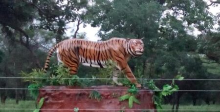 Sathyamangalam Tiger Reserve