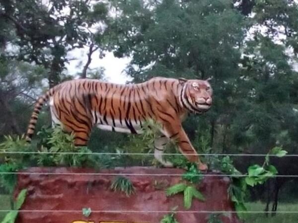 Sathyamangalam Tiger Reserve
