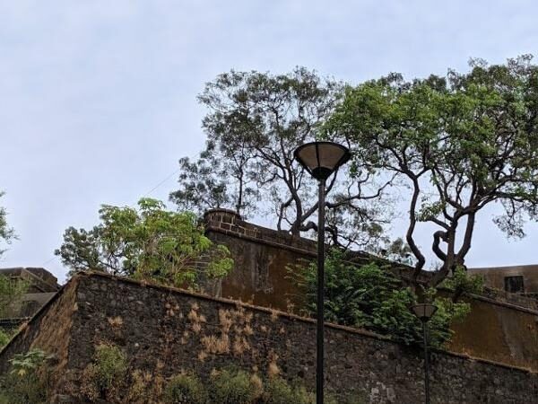 Sewri Fort