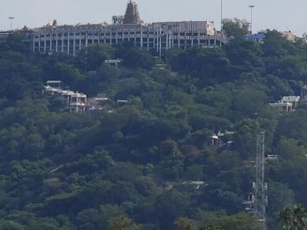 Sri Dhandayuthapani Temple, Palani