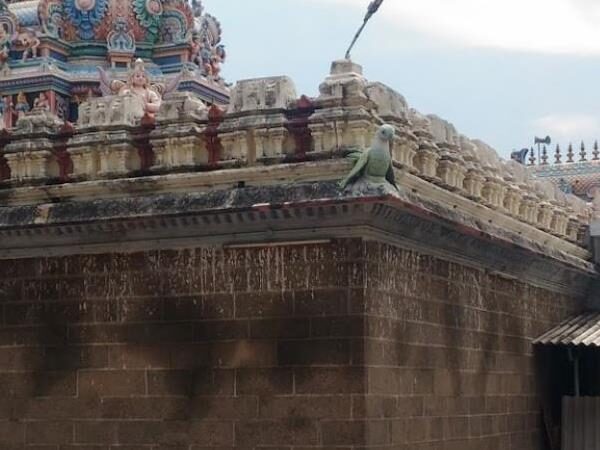 Sri Sounderarajaperumal Temple, Nagapattinam