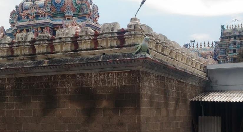 Sri Sounderarajaperumal Temple, Nagapattinam