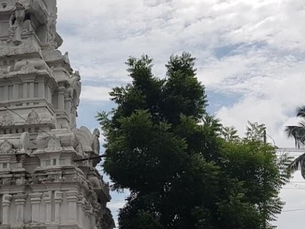 Sri Thoovainathar Temple, Thoovanayanar