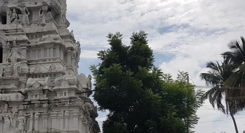 Sri Thoovainathar Temple, Thoovanayanar