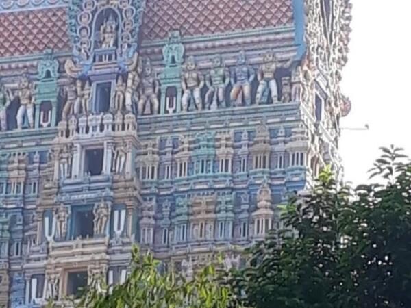 Sri Vadabathrasayee Temple, Sri Villiputhur