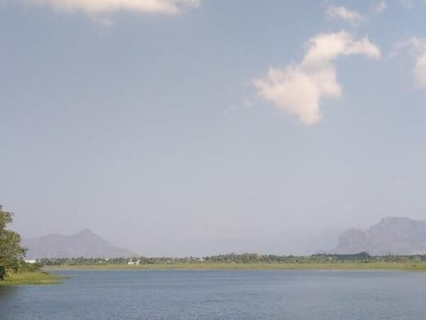 Suchindram Theroor Birds Sanctuary