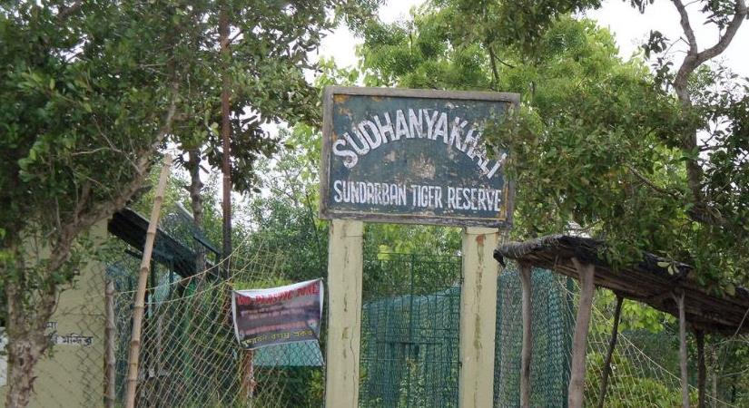 Sunderbans Tiger Reserve