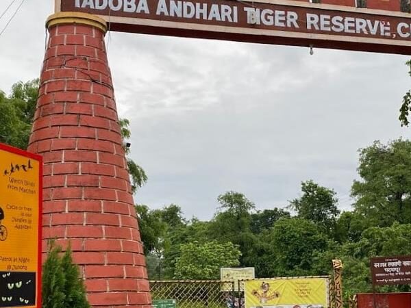 Tadoba-Andhari Tiger Reserve