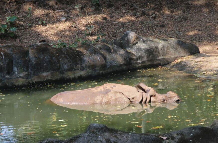 Thiruvananthapuram Zoo