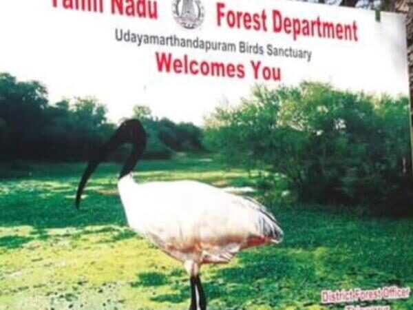 Udayamarthandapuram Bird Sanctuary