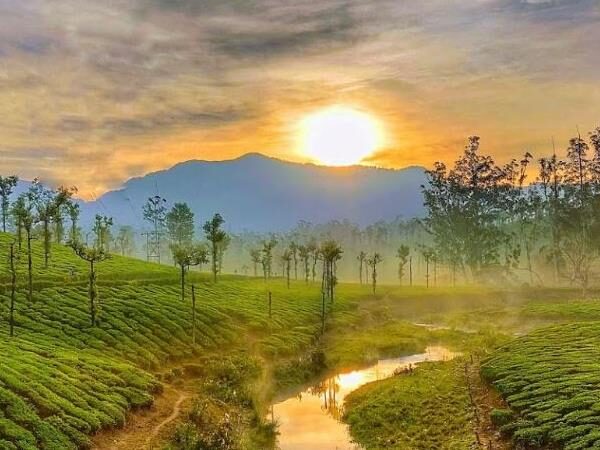 Valparai, Tamil Nadu