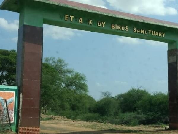 Vettangudi Bird Sanctuary