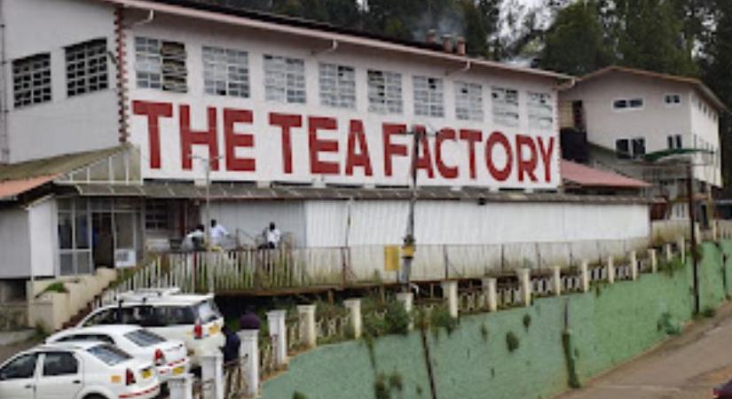 Tea Factory Ooty Discover India